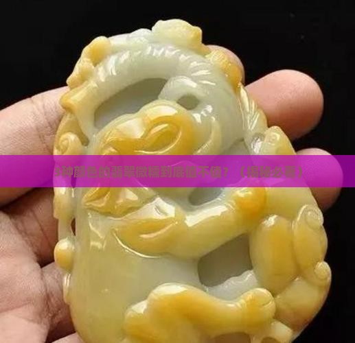 翡翠有三种颜色的微糯价格如何