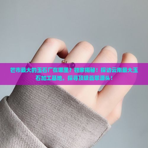 芒市最大的玉石厂在哪里