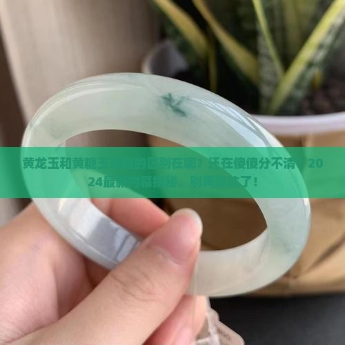 黄龙玉和黄糖玉戒指的区别在哪