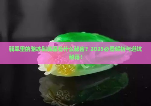 翡翠里骆冰是什么意思