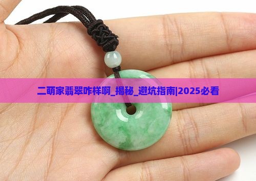 二萌家翡翠咋样啊