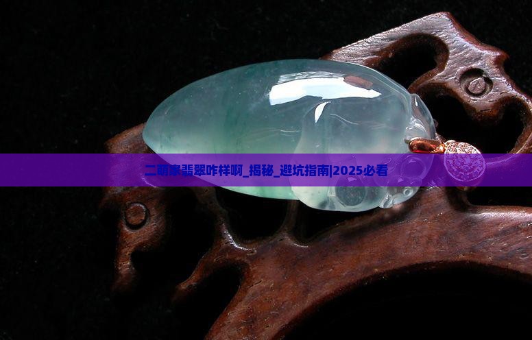 二萌家翡翠咋样啊