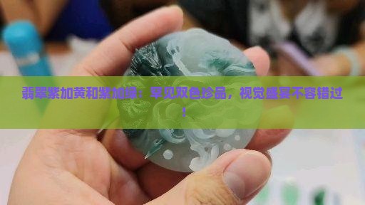 翡翠紫加黄和紫加绿