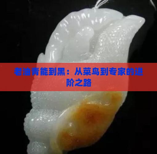 老油青能到黑：从菜鸟到专家的进阶之路