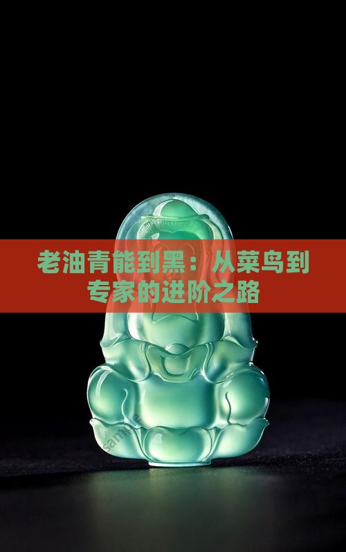 老油青能到黑：从菜鸟到专家的进阶之路