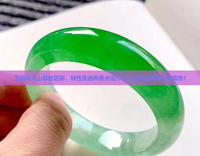 玉髓与天山翠的区别、特性及选购要点是什么？如何鉴别两者的真伪？