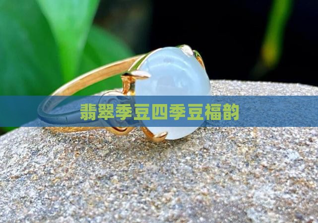 翡翠季豆四季豆福韵