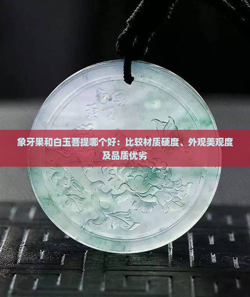 象牙果和白玉菩提哪个好：比较材质硬度、外观美观度及品质优劣