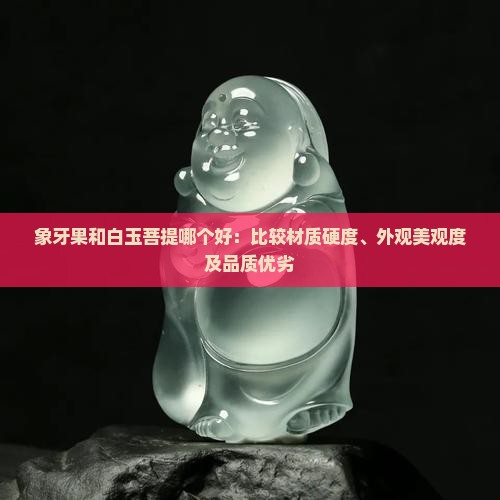 象牙果和白玉菩提哪个好：比较材质硬度、外观美观度及品质优劣