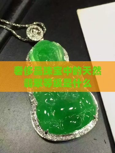 奢侈品珠宝中的天然翡翠等级是什么