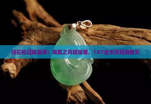 顽石他日成翡翠：真意之风昭域著，TXT全本及经典推文