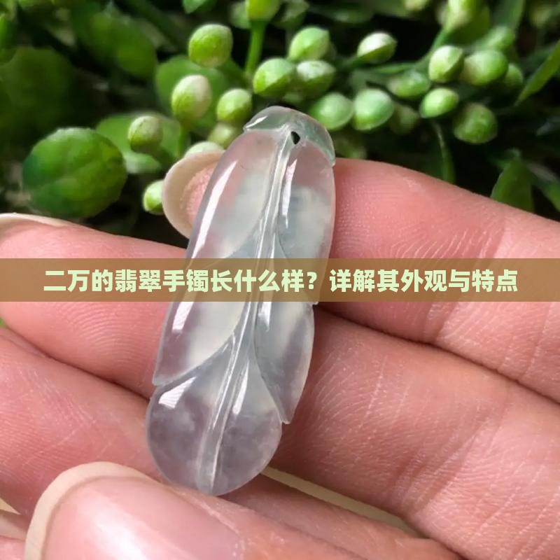二万的翡翠手镯长什么样？详解其外观与特点