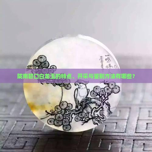 陇南碧口白龙玉的特点、开采与鉴别方法有哪些？