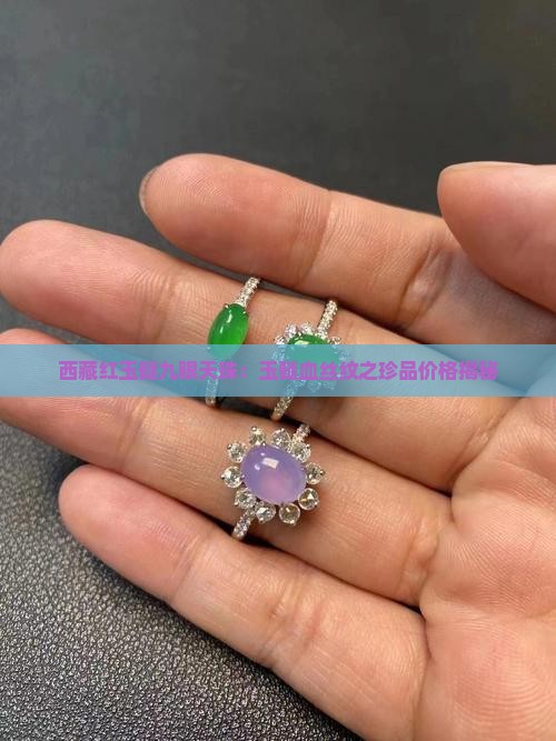 西藏红玉髓九眼天珠：玉髓血丝纹之珍品价格揭秘
