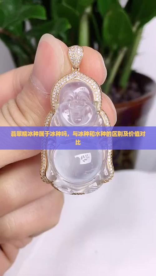 翡翠糯冰种属于冰种吗，与冰种和水种的区别及价值对比