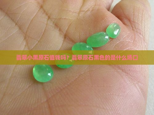翡翠小黑原石值钱吗？翡翠原石黑色的是什么场口
