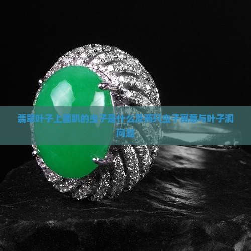 翡翠叶子上面趴的虫子是什么及两只虫子寓意与叶子洞问题