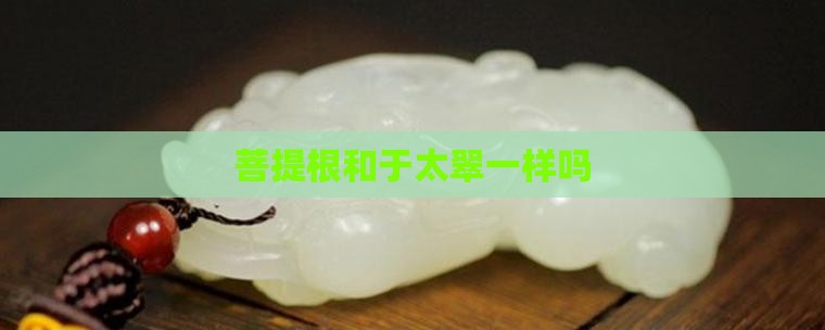 菩提根和于太翠一样吗 菩提根和于太翠一样吗