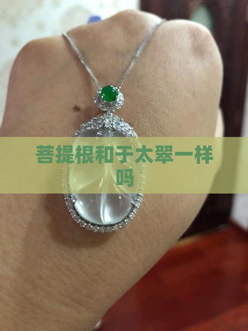 菩提根和于太翠一样吗 菩提根和于太翠一样吗