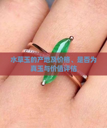 水草玉的产地及价格、是否为真玉与价值评估