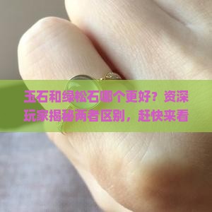 玉石和绿松石哪个更好？资深玩家揭秘两者区别，赶快来看！
