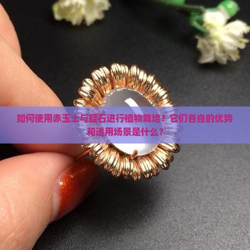 如何使用赤玉土与蛭石进行植物栽培？它们各自的优势和适用场景是什么？
