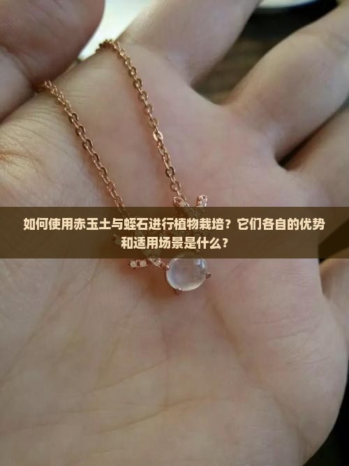 如何使用赤玉土与蛭石进行植物栽培？它们各自的优势和适用场景是什么？