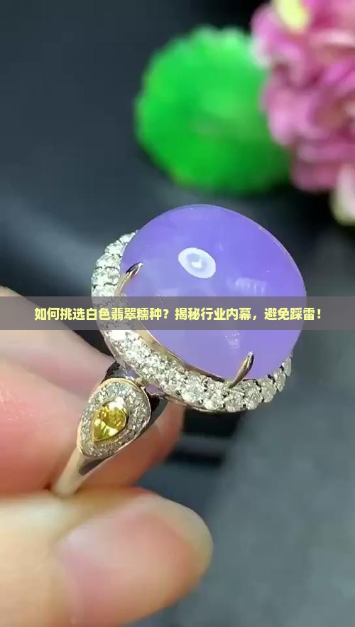 如何挑选白色翡翠糯种？揭秘行业内幕，避免踩雷！