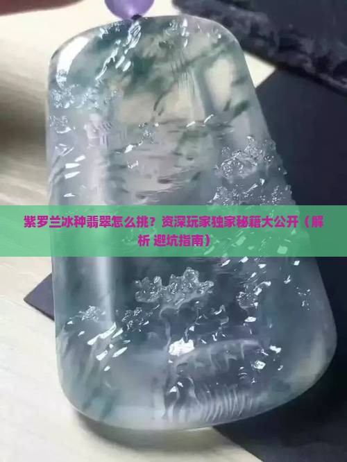 紫罗兰冰种翡翠介绍 紫罗兰冰种翡翠介绍