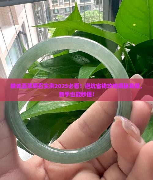 精诚翡翠原石