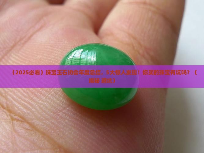 珠宝玉石行业协会年度总结报告