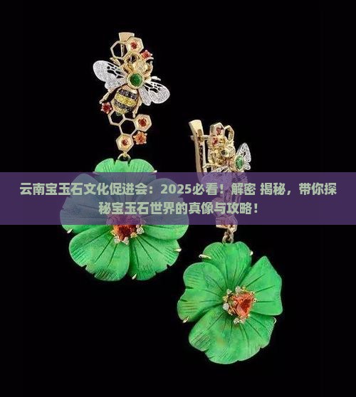 云南宝玉石文化促进会