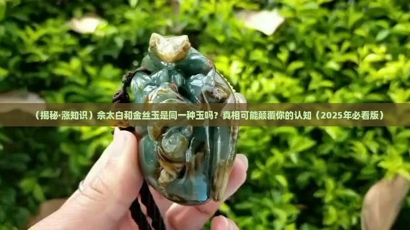 佘太白和金丝玉是一种玉吗