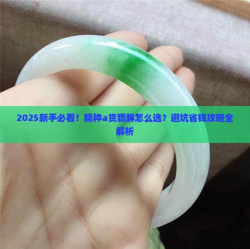 糯种a货貔貅
