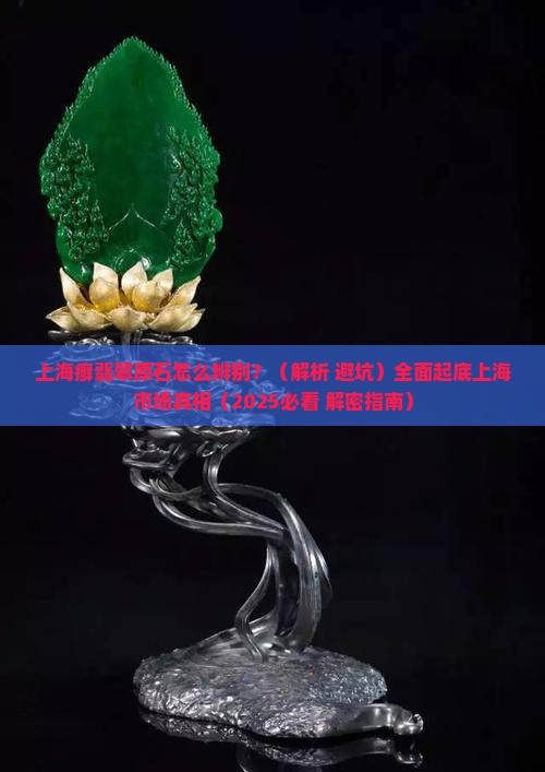 上海癣翡翠原石