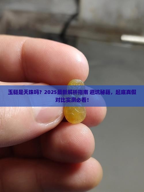 玉髓是天珠