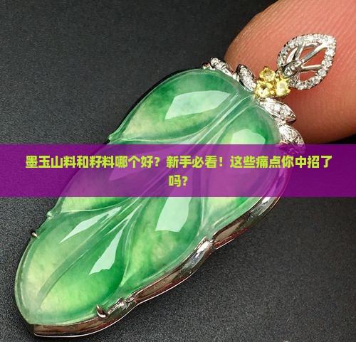 墨玉山料和籽料哪个好