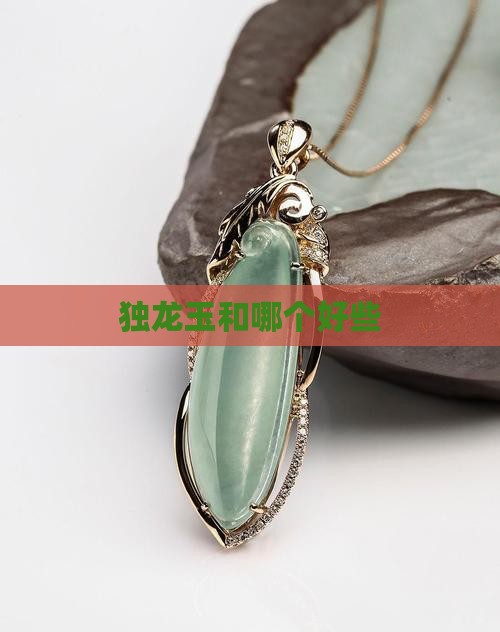 和独龙玉哪个好些