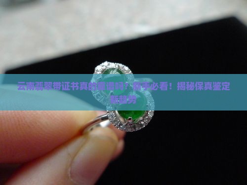 云南翡翠带证书