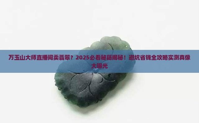 万玉山大师在直播间卖翡翠 万玉山大师在直播间卖翡翠