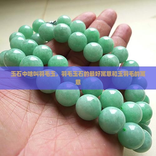 玉石中啥叫羽毛玉