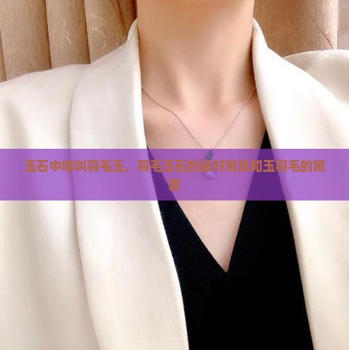 玉石中啥叫羽毛玉