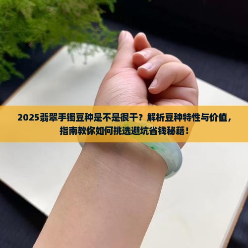 翡翠手镯豆种是不是很干