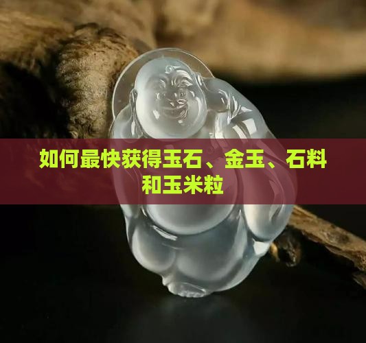 如何最快获得玉石