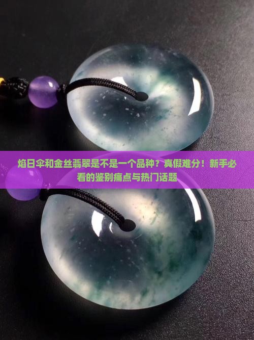 焰日伞和金丝翡翠是不是一个品种