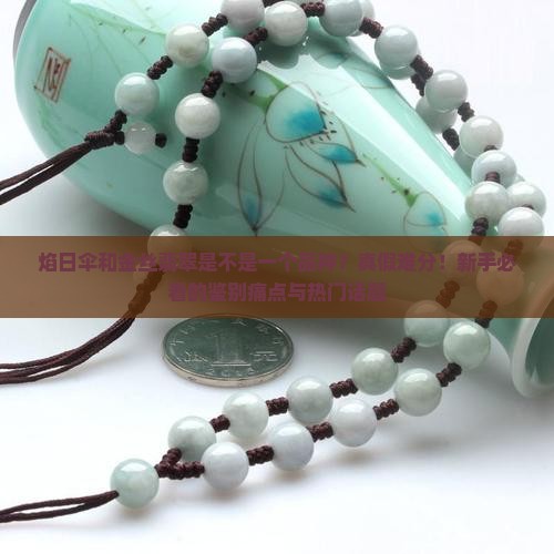 焰日伞和金丝翡翠是不是一个品种
