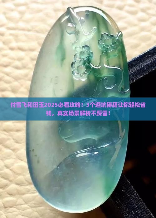 付雪飞和田玉