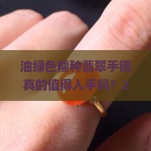 油绿色糯种翡翠手镯好不好