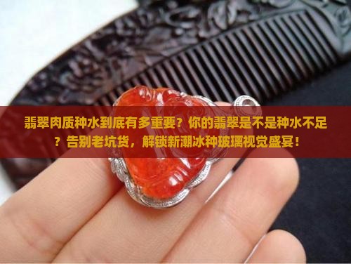 翡翠肉质种水