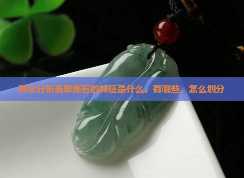 种水分析翡翠原石的特征